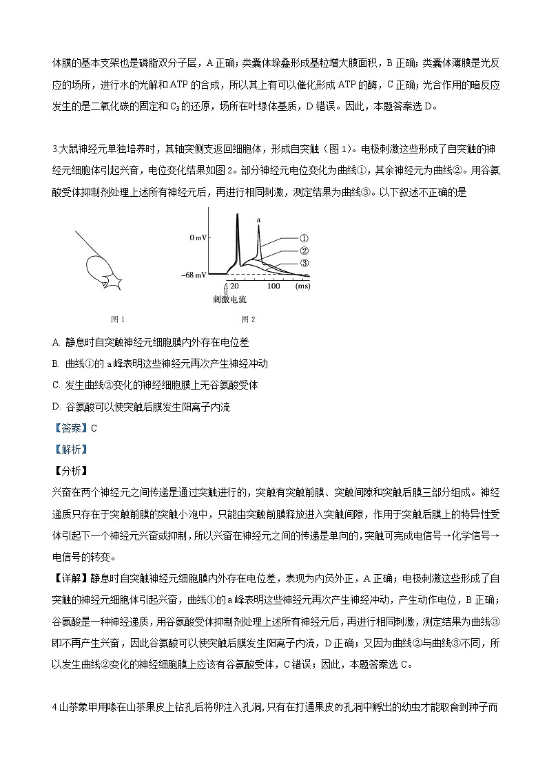 2019届北京市东城区高三下学期综合练习生物试卷（解析版）02