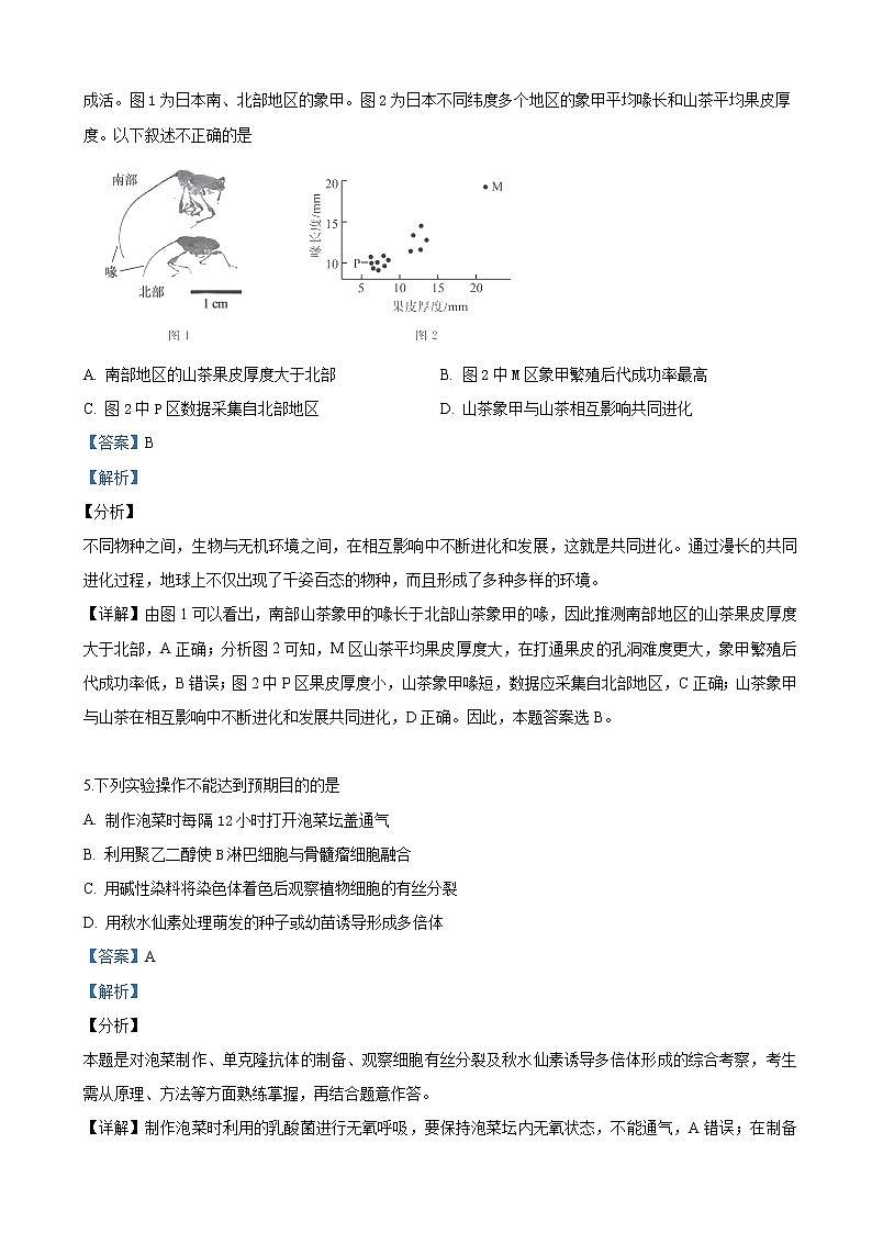 2019届北京市东城区高三下学期综合练习生物试卷（解析版）03