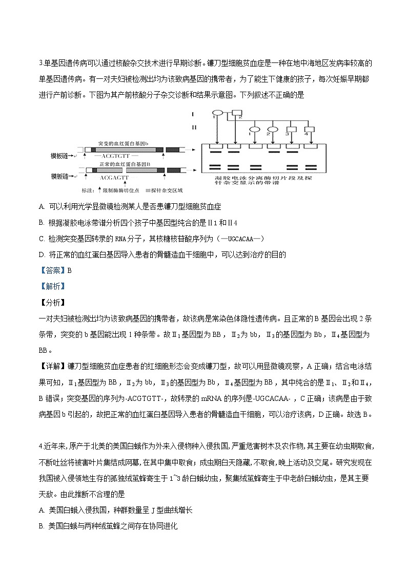 2019届北京市门头沟区高三一模考试生物试卷（解析版）02