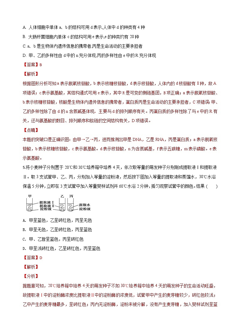 2019届甘肃省平凉市静宁县第一中学高三上学期第二次模拟考试生物试题（解析版）03