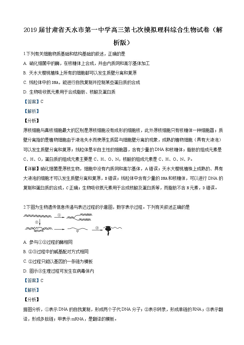 2019届甘肃省天水市第一中学高三第七次模拟理科综合生物试卷（解析版）01