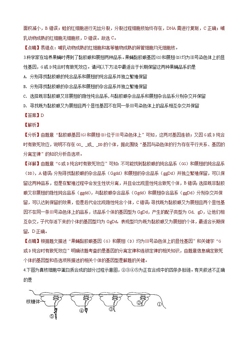 2019届甘肃省张掖中学高三下学期模拟生物试卷（解析版）02