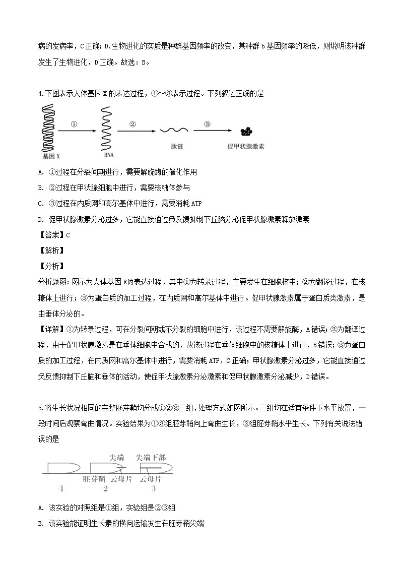 2019届高湖南省怀化市三第三次模考理科综合生物试题（解析版）03