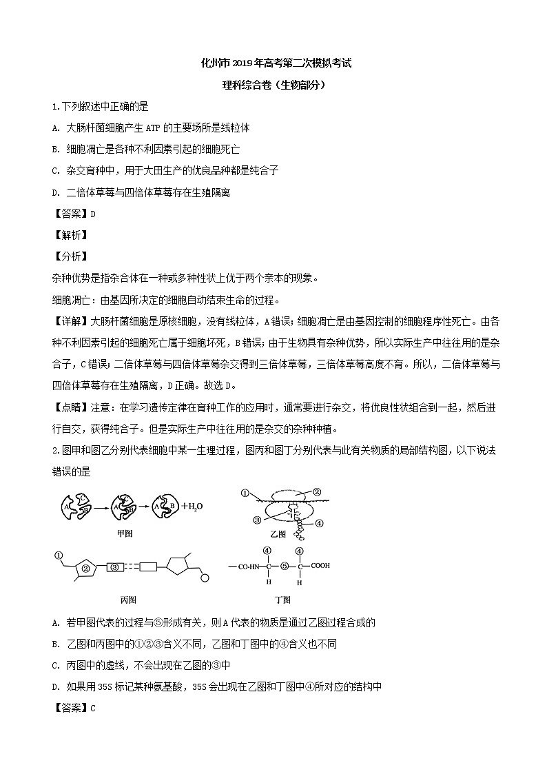 2019届广东省化州市高三上学期第二次模拟考试理科综合生物试题（解析版）01