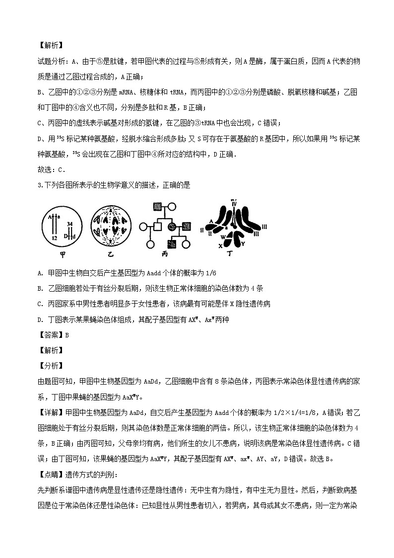 2019届广东省化州市高三上学期第二次模拟考试理科综合生物试题（解析版）02