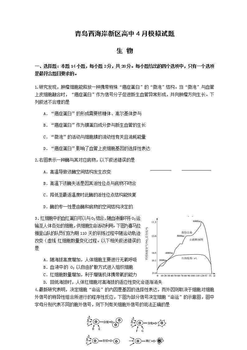 山东省青岛市西海岸新区（黄岛区）2019-2020学年高三4月模拟考试生物试题01