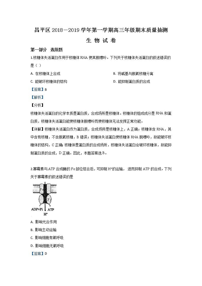 北京市昌平区2019届高三上学期期末考试生物试题01