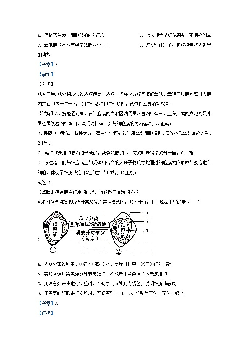 陕西省咸阳市2019-2020届高三上学期期末考试生物试题03