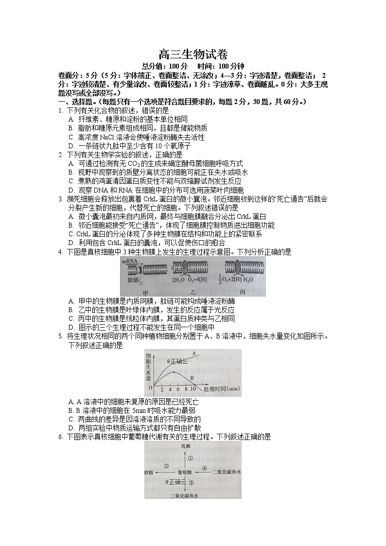 江西省南昌市新建县第一中学2019-2020学年高三上学期期中考试生物试卷01