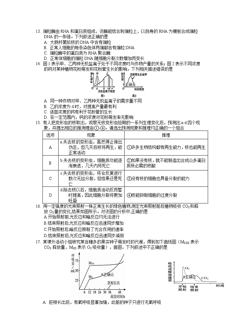 江西省南昌市新建县第一中学2019-2020学年高三上学期期中考试生物试卷03