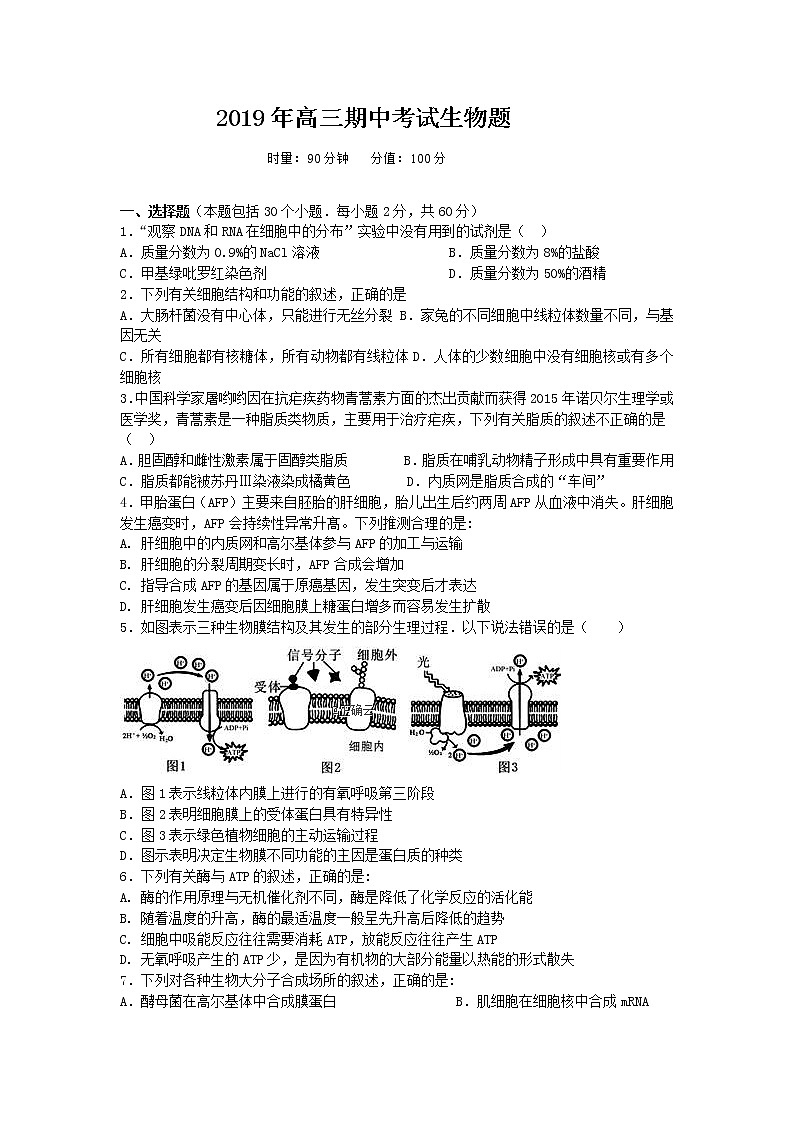 辽宁省大连海湾高级中学2019-2020学年高三上学期期中考试生物试卷01