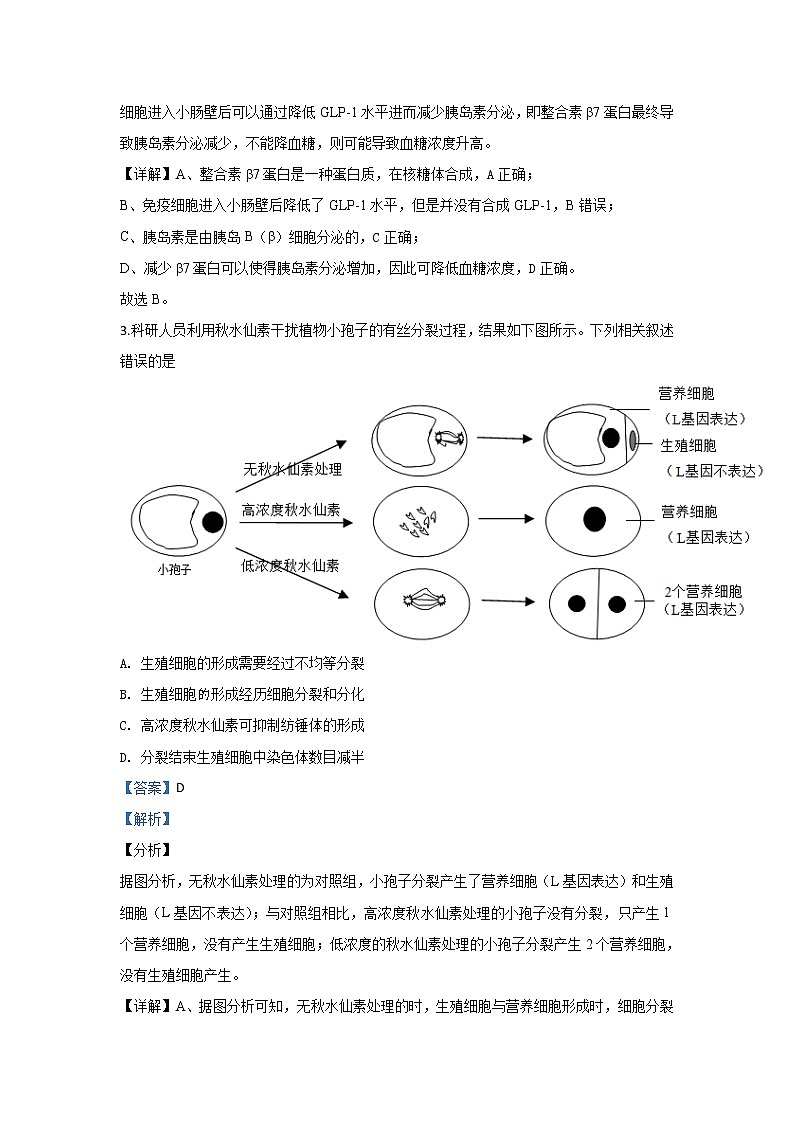 北京市昌平区2019届高三上学期二模生物试题02