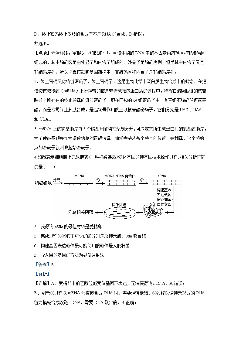 天津市南开中学2019届高三上学期第一次月考生物试题03