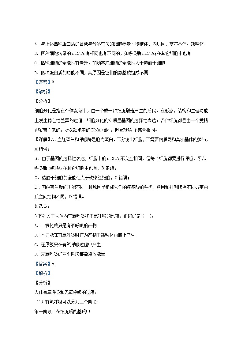 天津市实验中学2019届高三上学期套练生物试题02