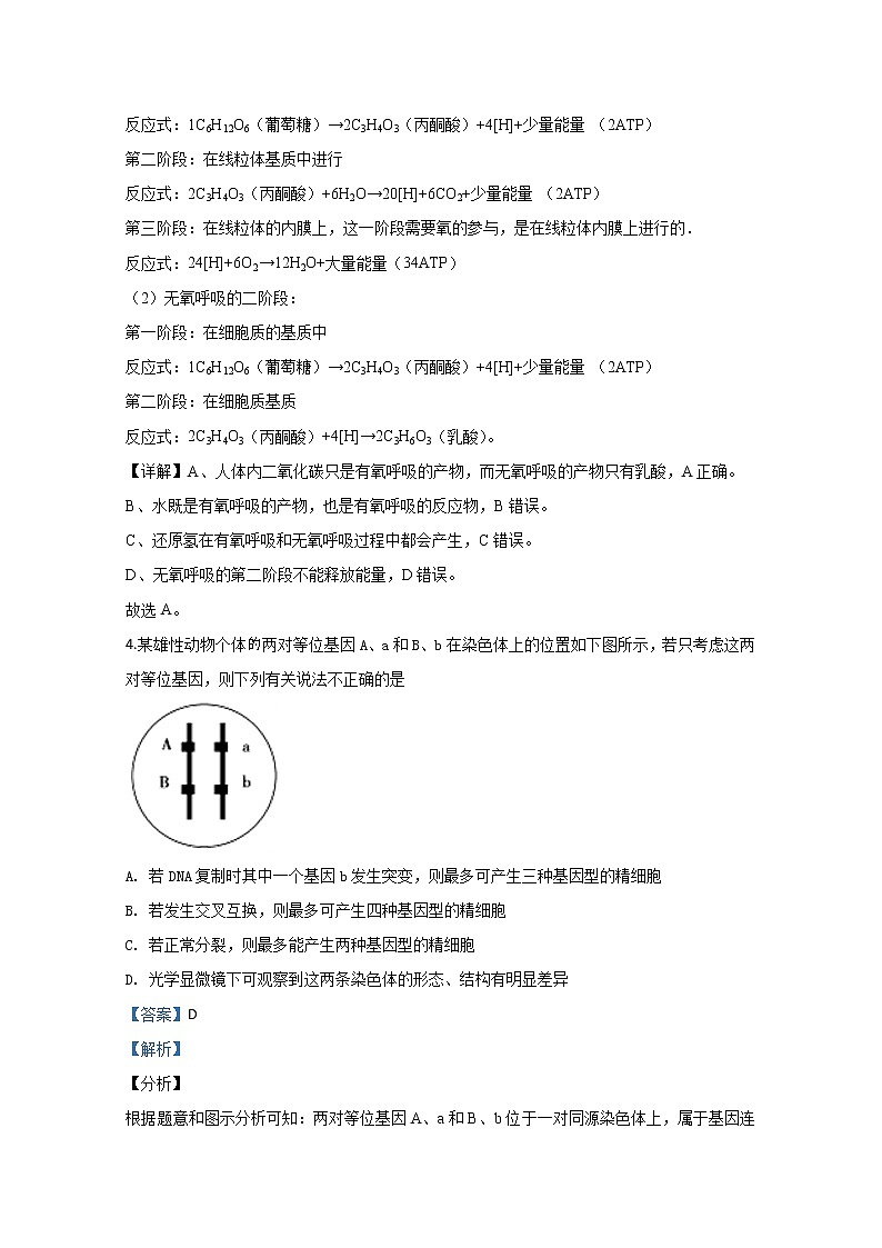 天津市实验中学2019届高三上学期套练生物试题03