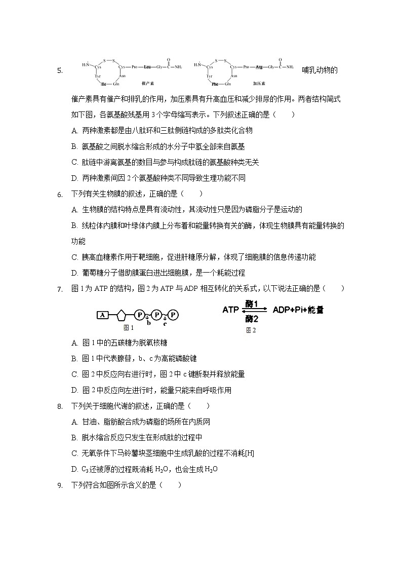 新疆喀什地区二中2019届高三9月月考生物试题第2页