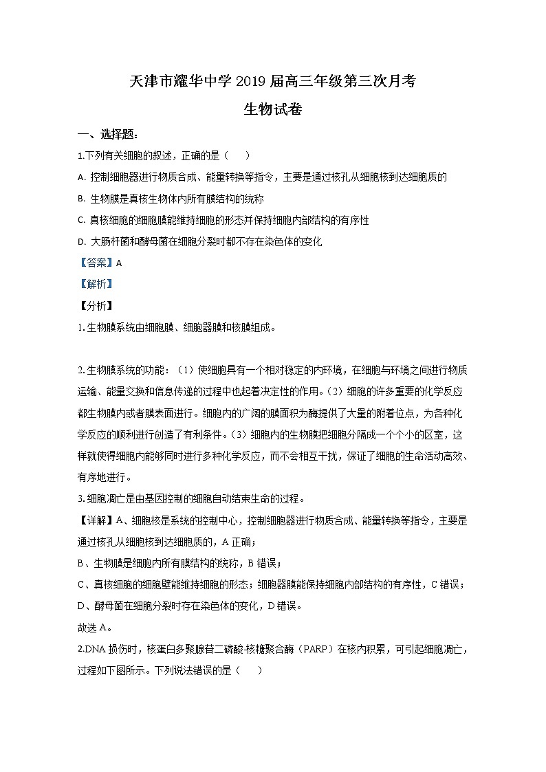 天津市和平区耀华中学2019届高三下学期第三次月考生物试题01