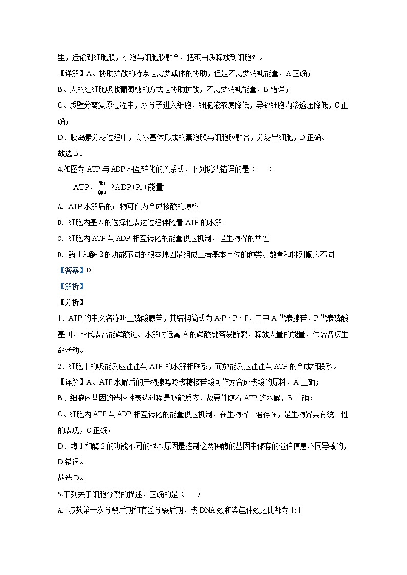 宁夏银川市宁夏大学附中2020届高三上学期第三次月考生物试题03