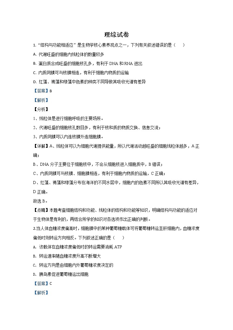 宁夏银川市宁夏大学附中2020届高三上学期第五次月考生物试题01
