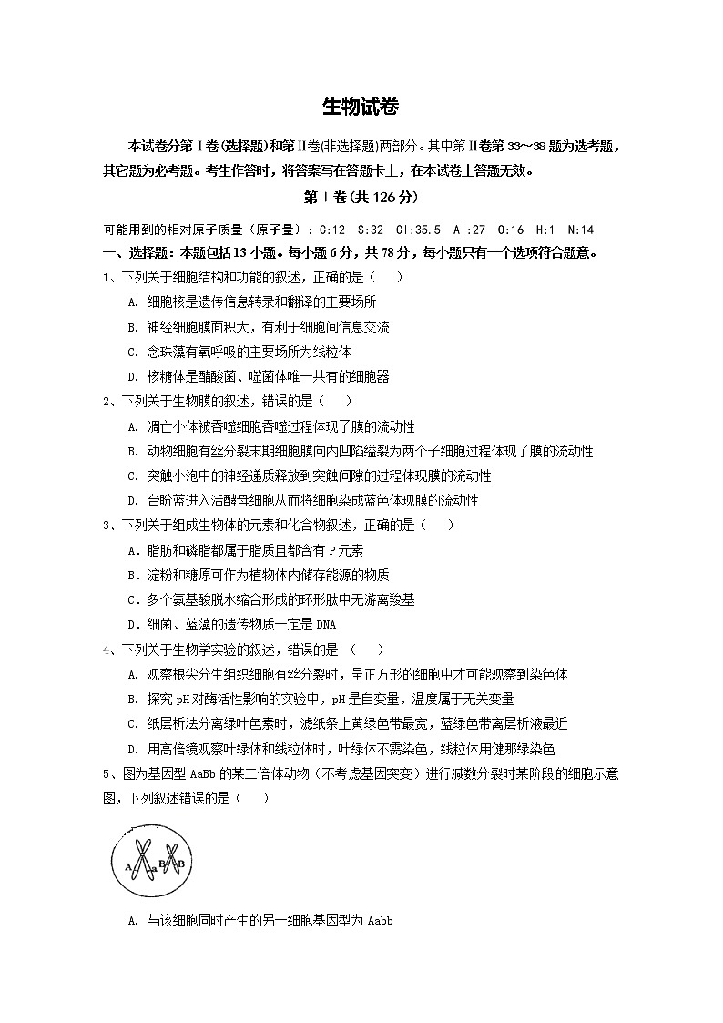 宁夏银川市兴庆区长庆高级中学2020届高三上学期第四次月考生物试卷01