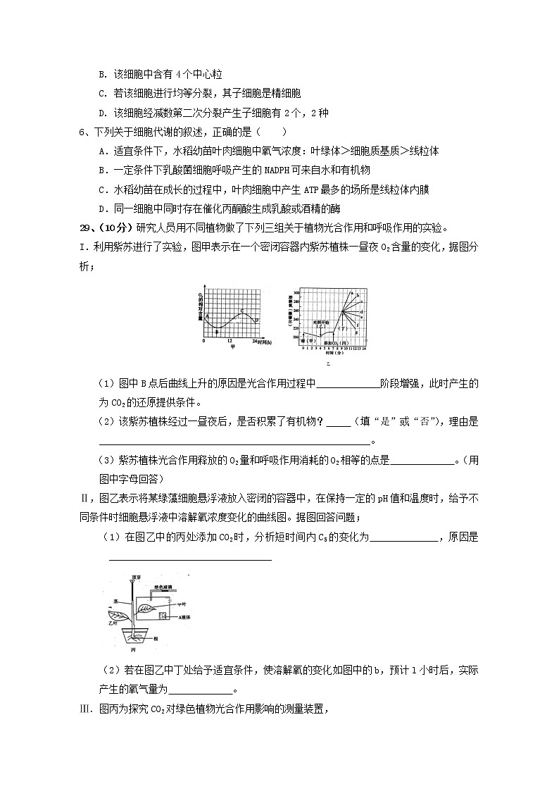 宁夏银川市兴庆区长庆高级中学2020届高三上学期第四次月考生物试卷02
