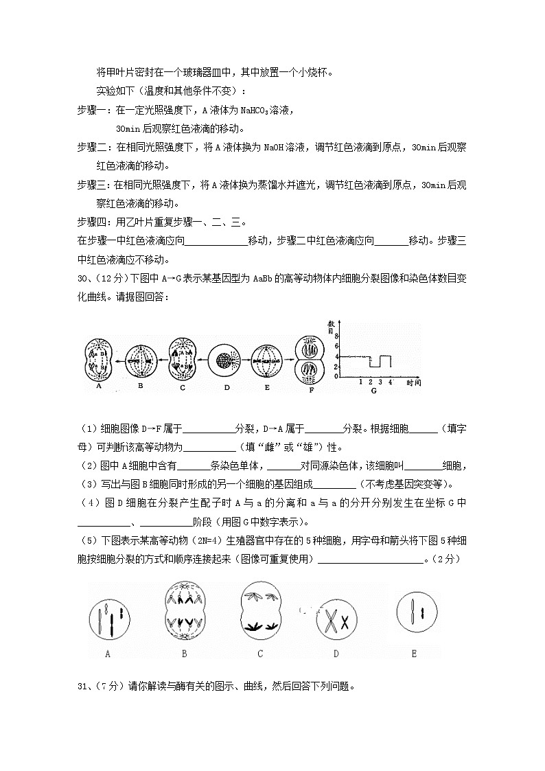 宁夏银川市兴庆区长庆高级中学2020届高三上学期第四次月考生物试卷03