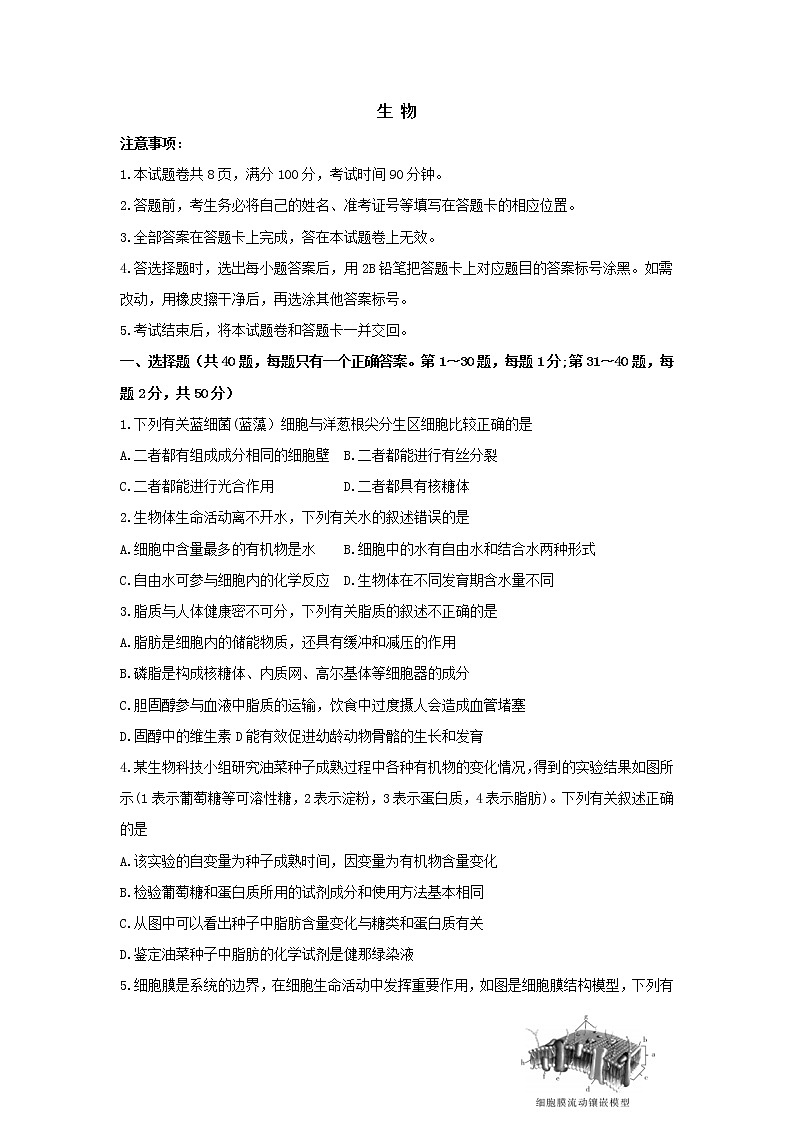 山东省2020届高三11月月考生物 试卷01