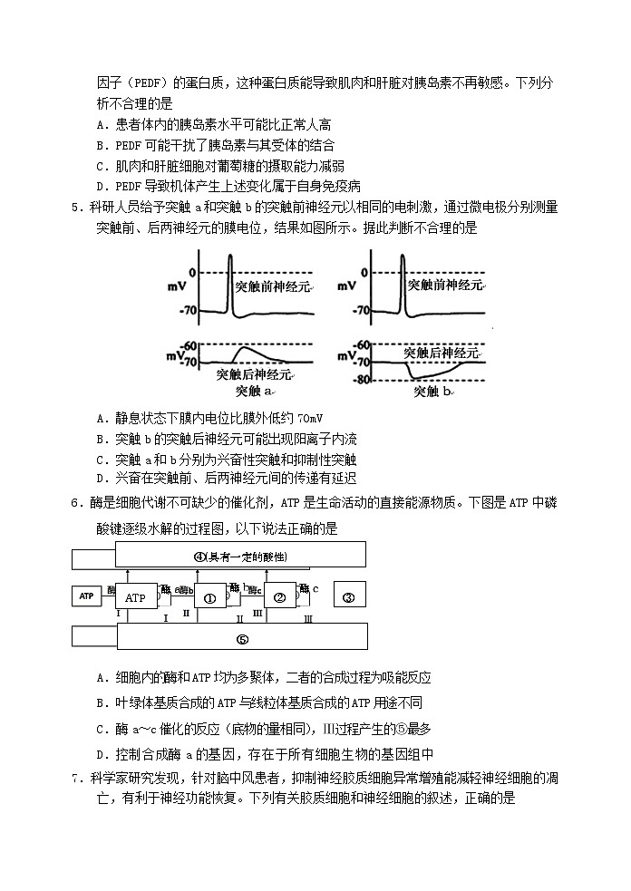 山东省青岛市平度第三中学2020届高三12月月考生物试题02