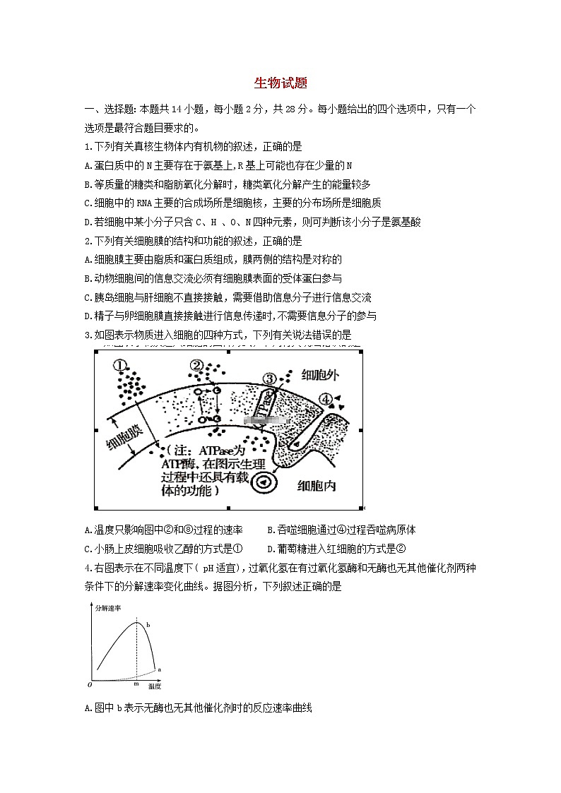 山东兽野县第一中学2020届高三12月月考生物 试卷01