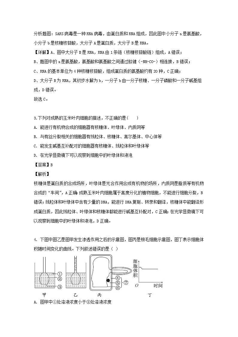山西省晋中市平遥中学2020届高三上学期第一次月考生物试题第2页