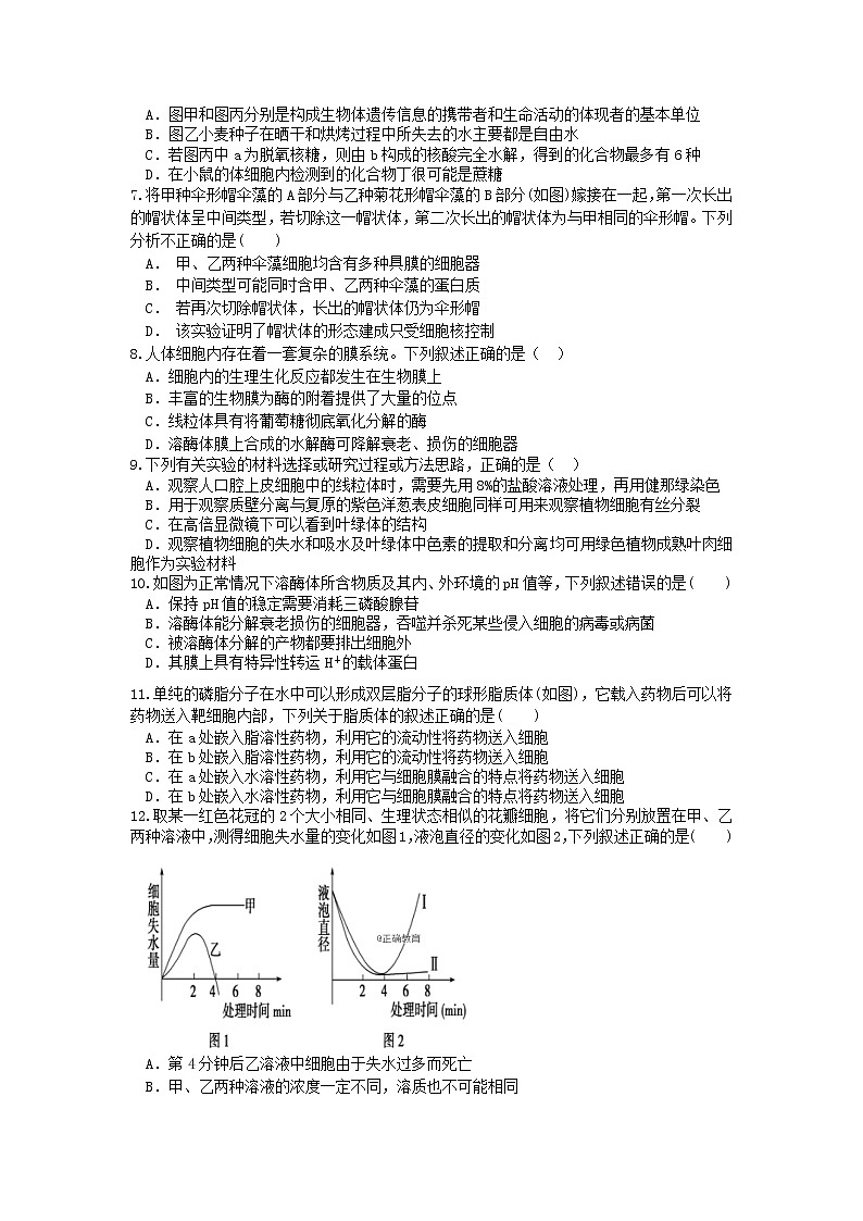 山西省临汾市2020届高三上学期月考生物第2页