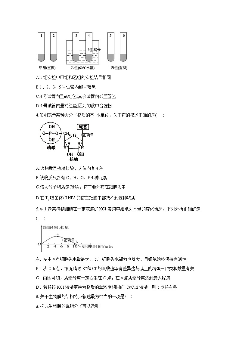 陕西省渭南市临渭区尚德中学2020届高三上学期第三次月考生物试卷第2页