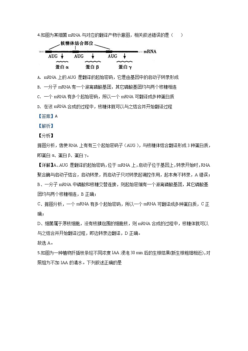 陕西省西安市西安交大附中2020届高三上学期第六次月考生物试题第3页