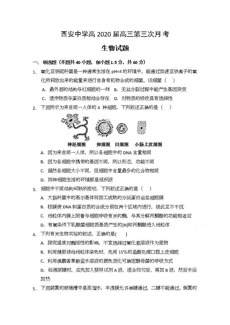 陕西省西安中学2020届高三上学期第三次月考生物试题01