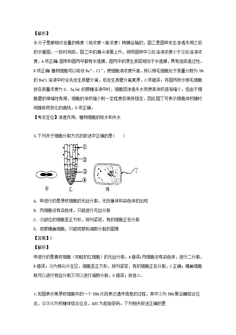 四川省成都市双流区棠湖中学2020届高三（10月）月考理综-生物试题02