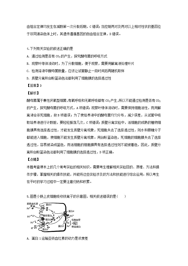 四川省广安市邻水实验学校2020届高三上学期第一次月考生物试题第3页