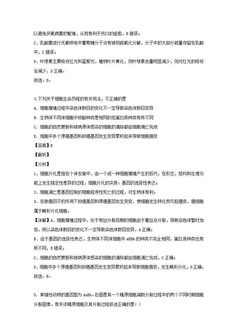 四川省绵阳市绵阳南山中学2020届高三上学期9月月考生物试题03