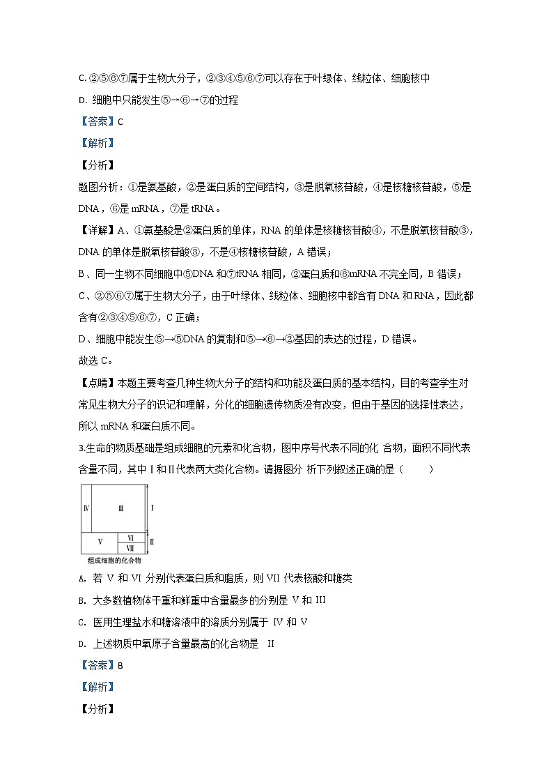 天津市一中2020届高三上学期第一次月考生物试题02