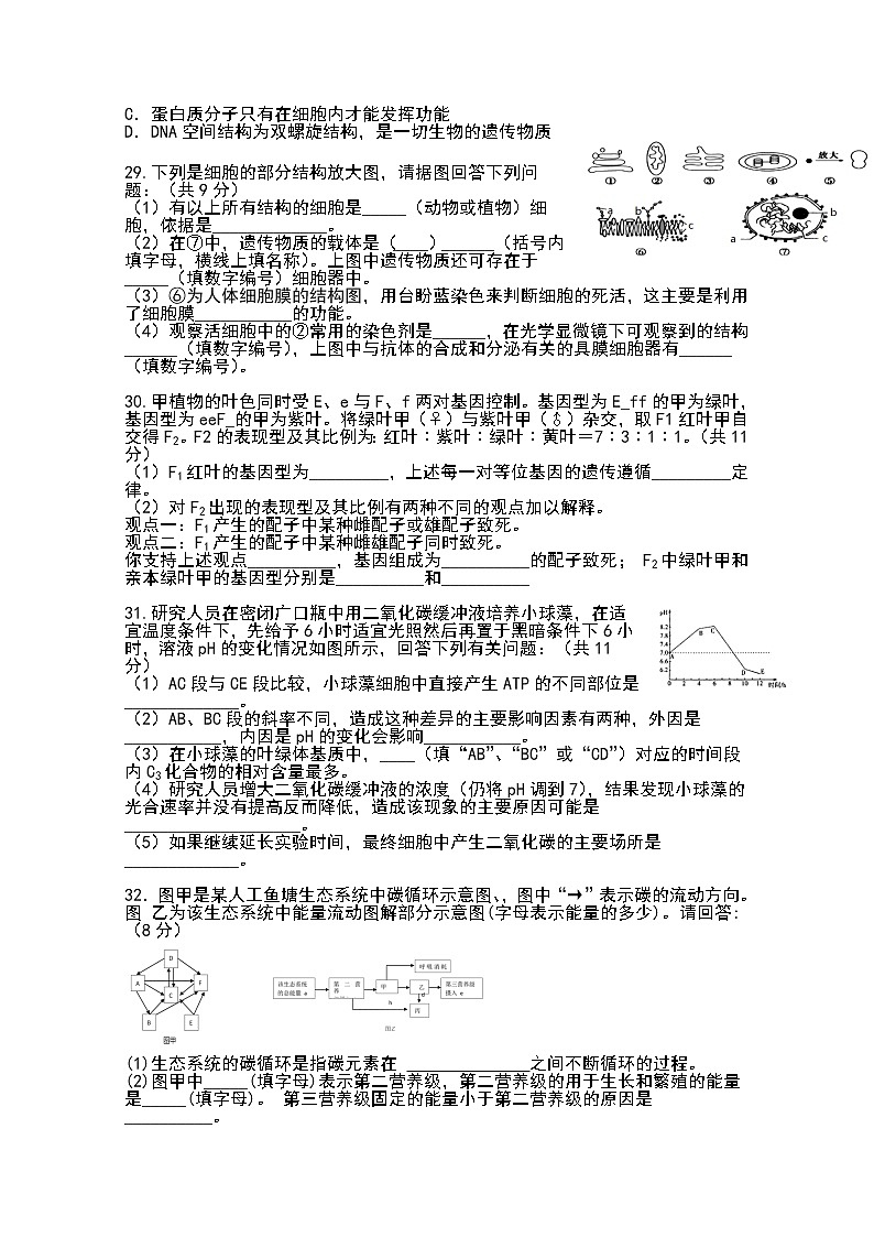 西藏自治区林芝市第二高级中学2020届高三上学期第一次月考生物试题02