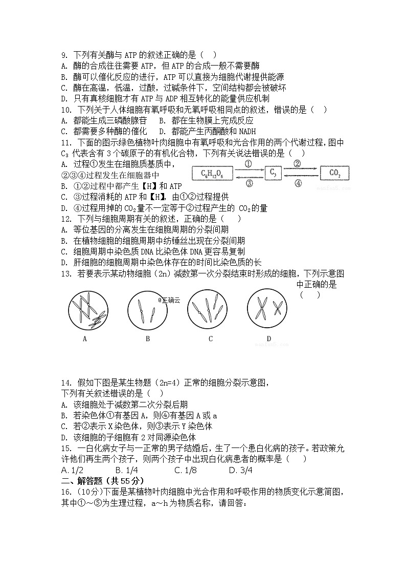 新疆阿克苏市阿瓦提四中2020届高三上学期月考生物 试卷02