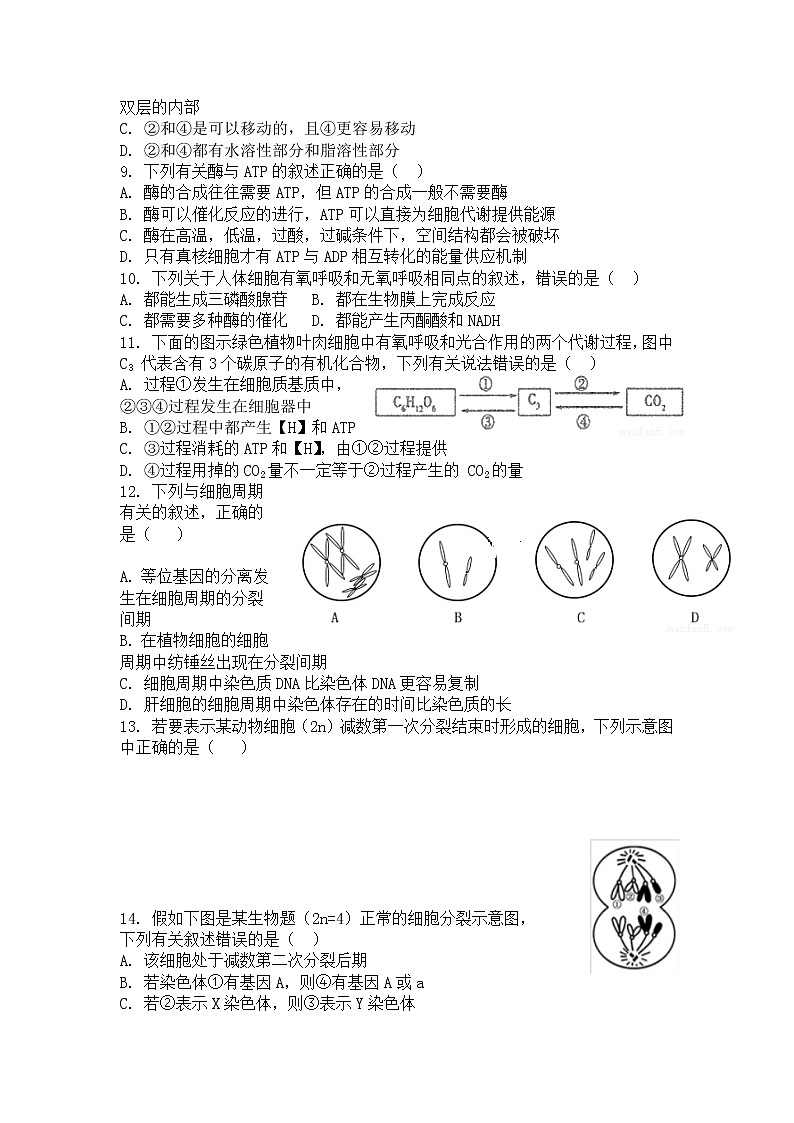 新疆阿克苏市阿瓦提县第四中学2020届高三上学期月考生物试题02