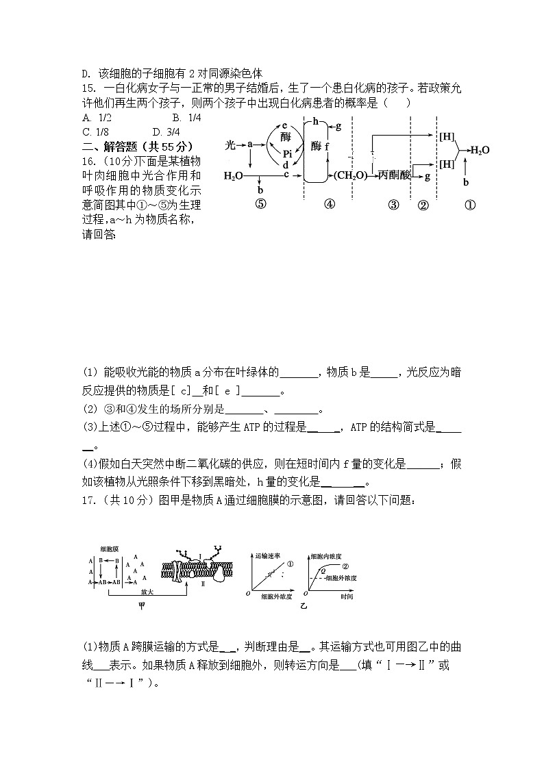 新疆阿克苏市阿瓦提县第四中学2020届高三上学期月考生物试题03