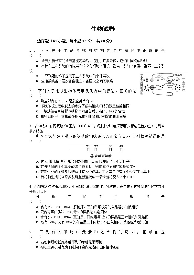 新疆博尔塔拉蒙古自治州第五师高级中学2020届高三上学期月考生物试题01