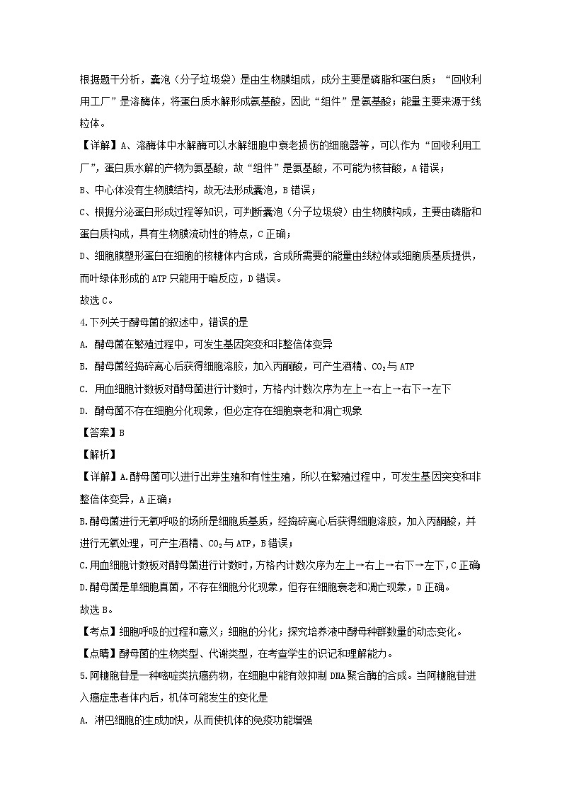浙江省台州市五校2020届高三（11月）月考生物试题03