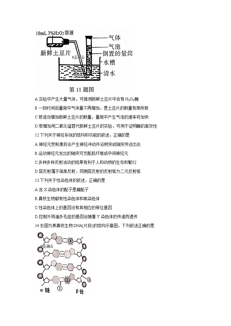 浙江省武义第三中学2020届高三上学期第一次月考生物试卷03