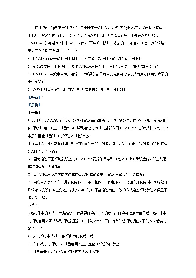 北京市朝阳区陈经纶中学2020届高三下学期4月月考生物试题03