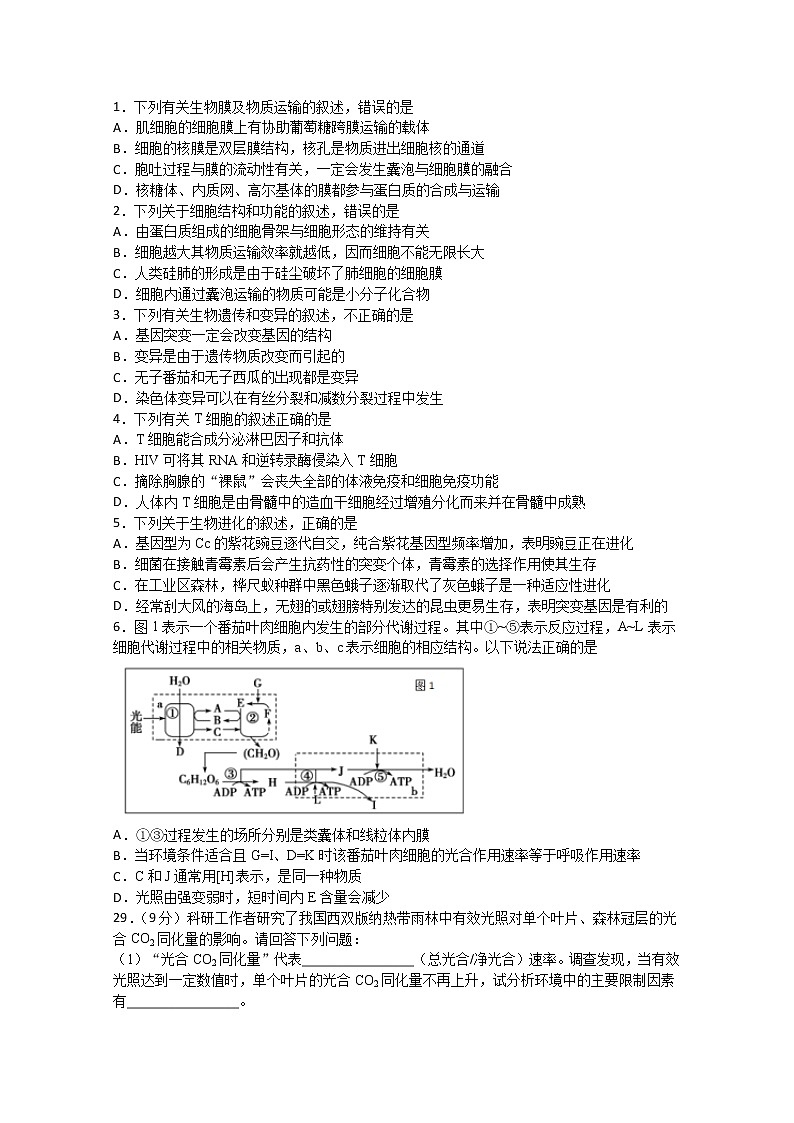 四川省泸县第五中学2020届高三下学期第四学月考试理综-生物试题第1页