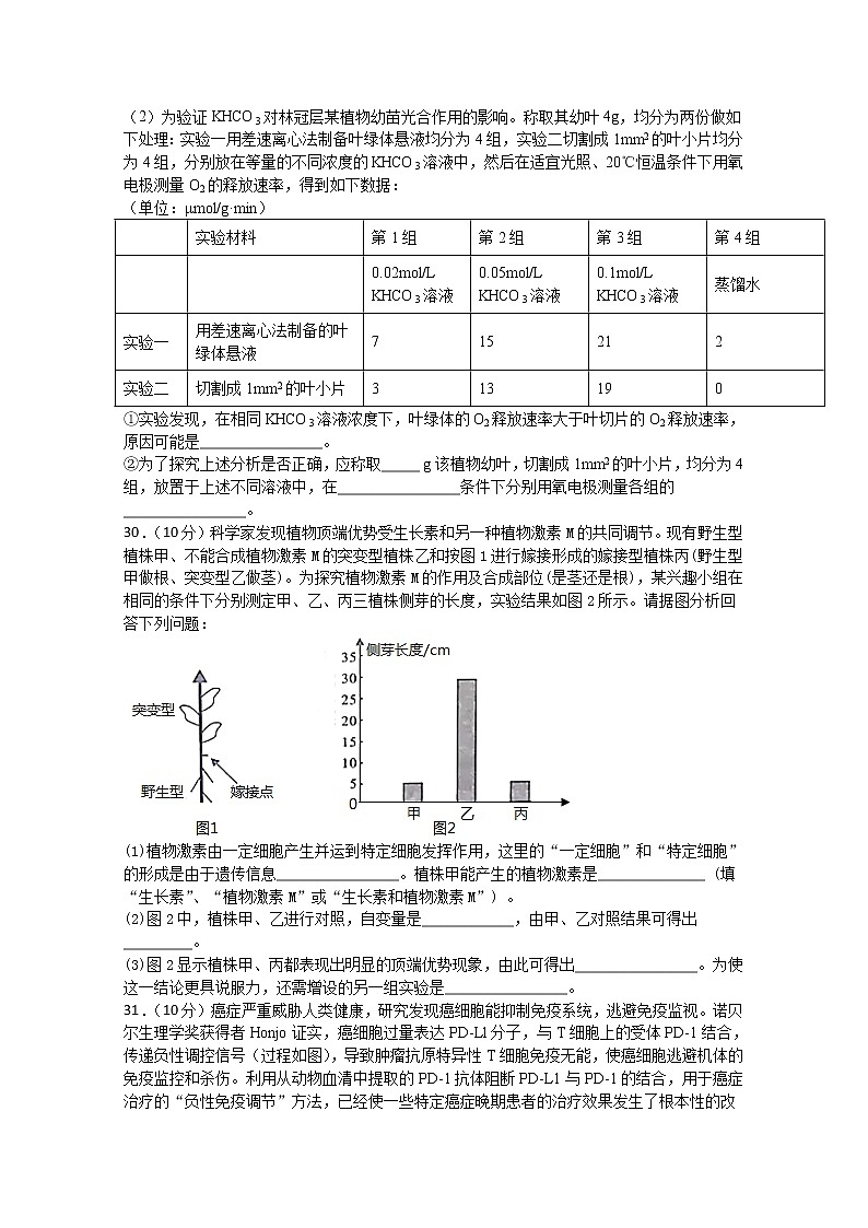 四川省泸县第五中学2020届高三下学期第四学月考试理综-生物试题第2页