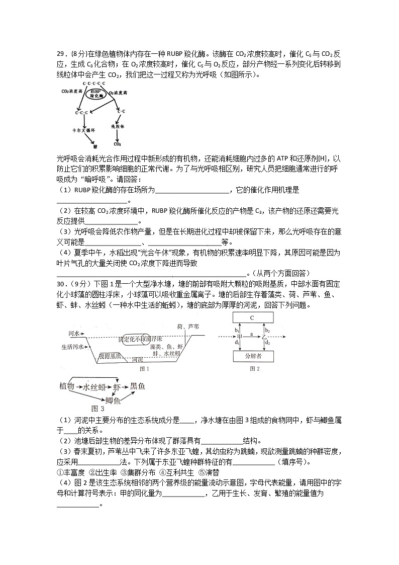 四川省泸州市合江中学2020届高三下学期第四次月考试理综生物试题02