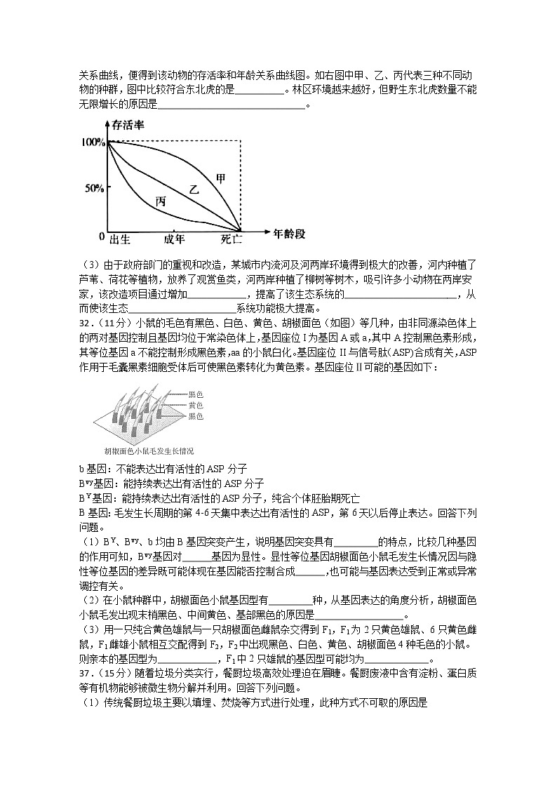 四川省棠湖中学2020届高三下学期第四学月考试理综-生物试题第3页